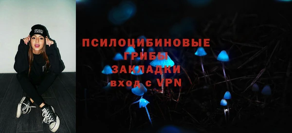 мдпв Киренск
