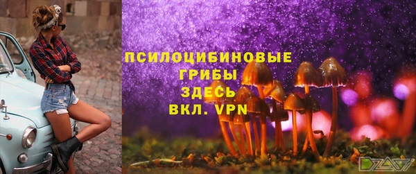 первитин Кинешма