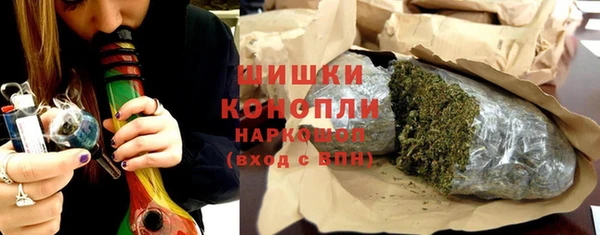шишки Козловка